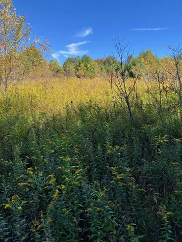 0 Theresa Lane Wilmington VT 05363