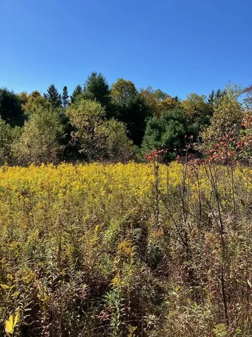 0 Theresa Lane Wilmington VT 05363