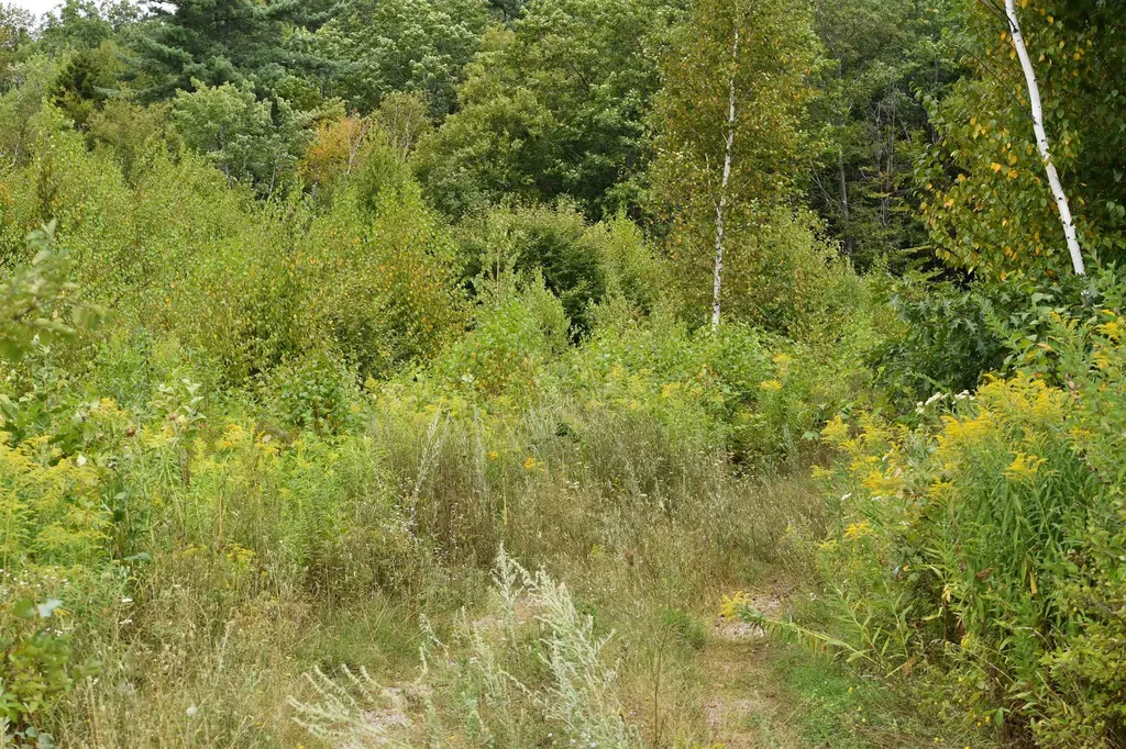 0 Thistle Hill Place Rutland Town VT 05701