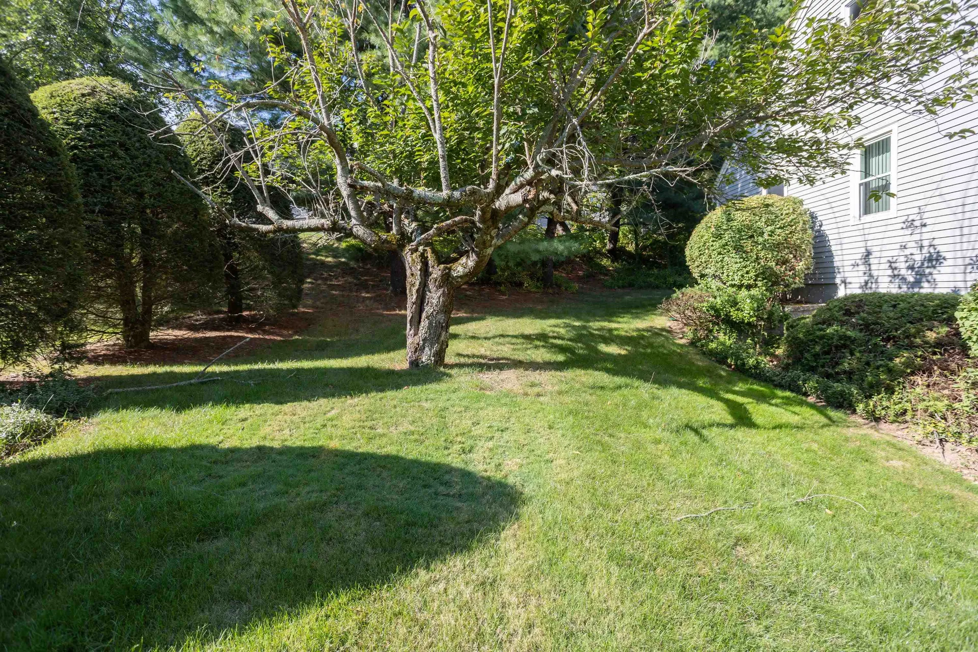 319 Fox Run Road Hudson NH 03051