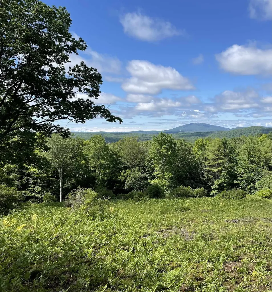 0 Duncan Road Hancock NH 03449