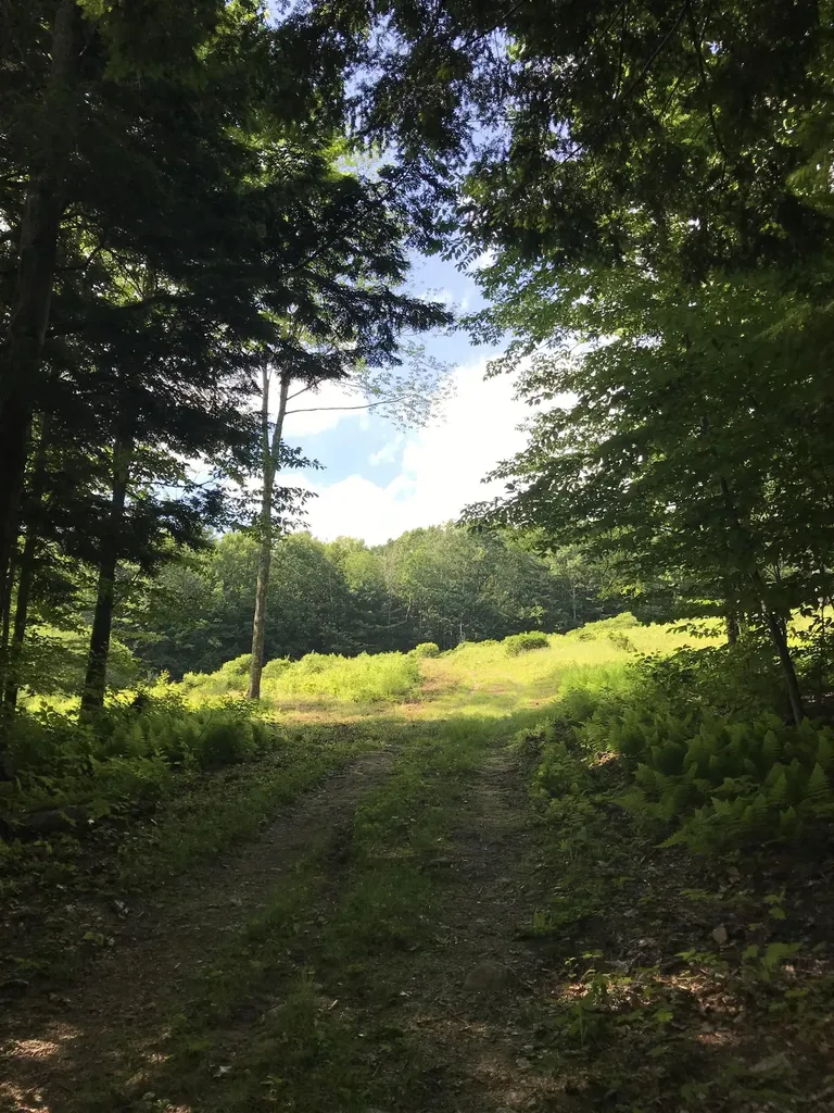 0 Duncan Road Hancock NH 03449