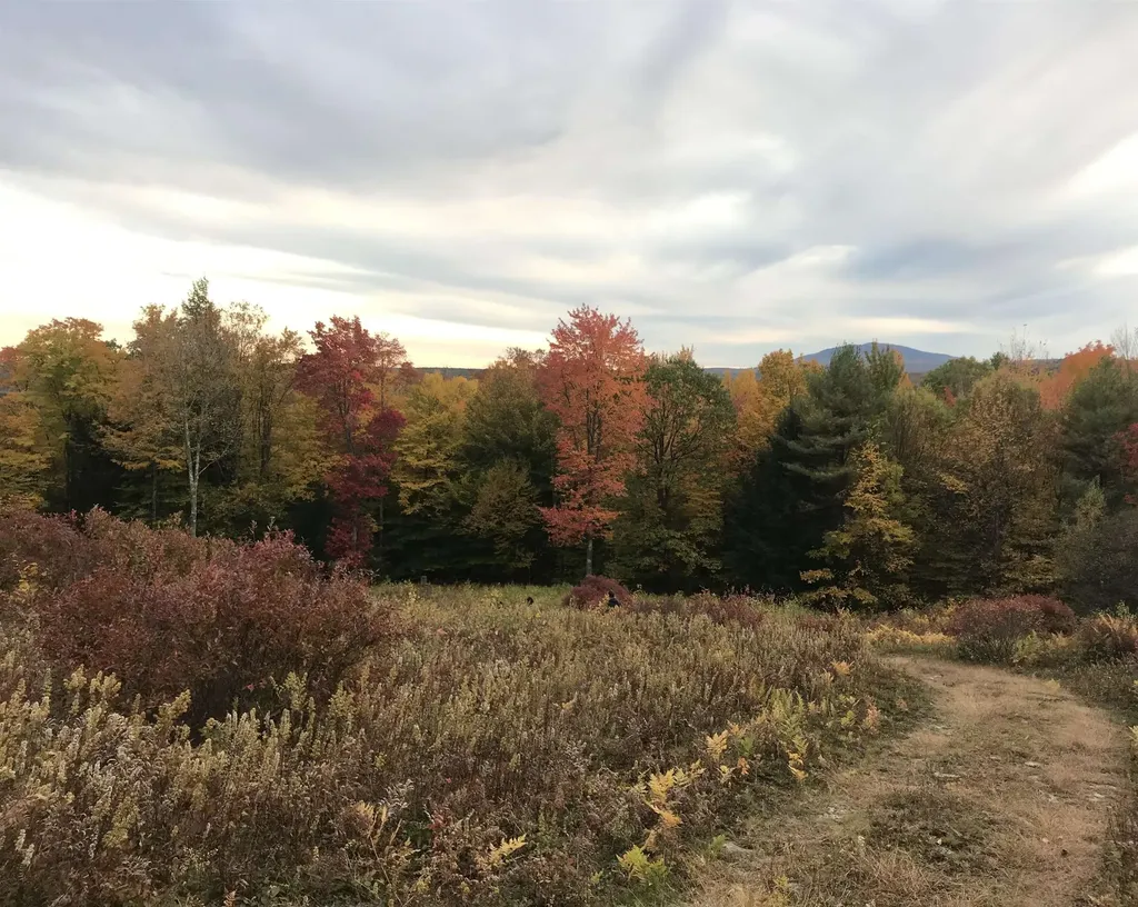 0 Duncan Road Hancock NH 03449