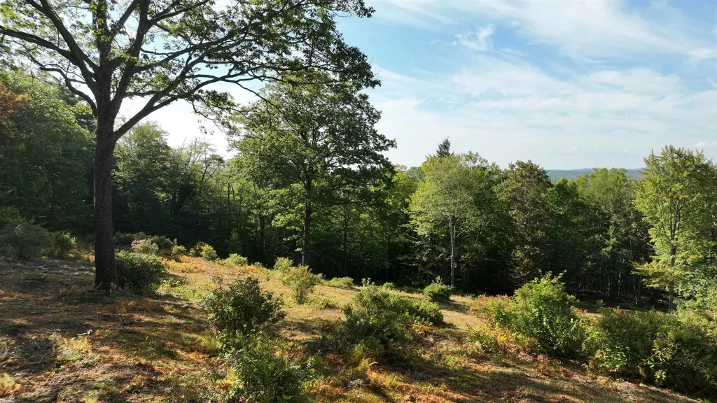 0 Duncan Road Hancock NH 03449