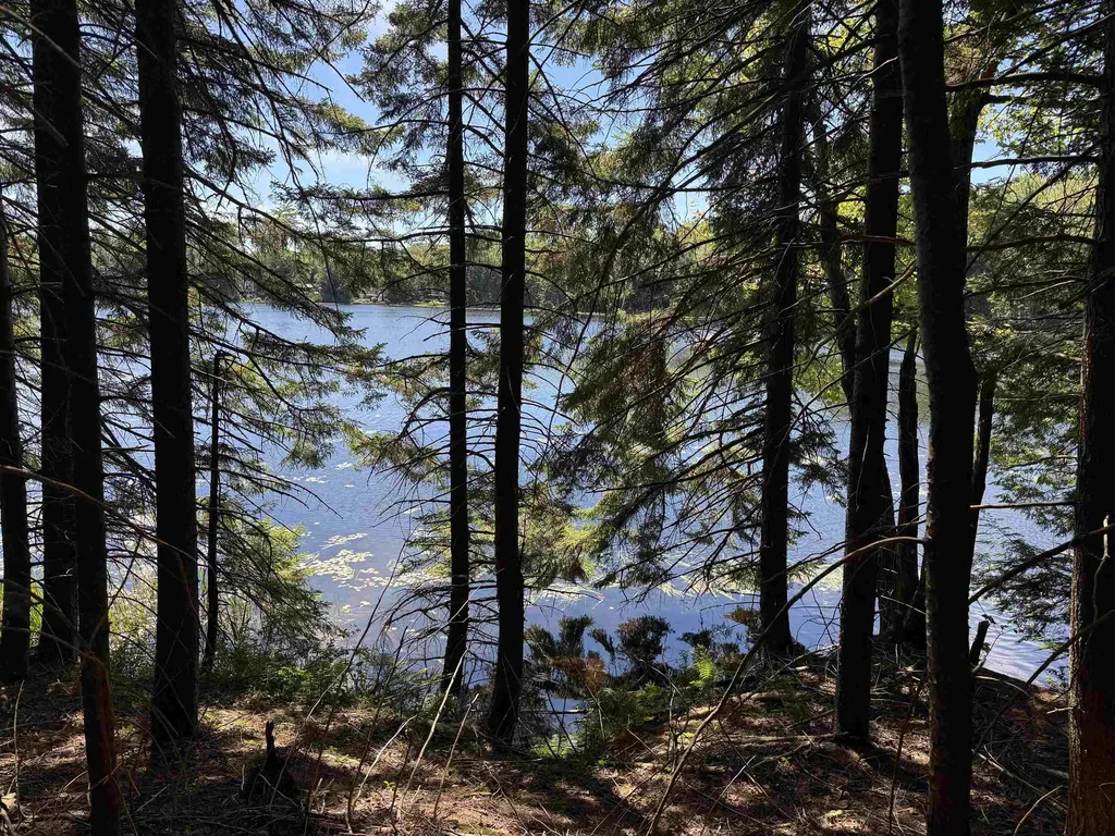 00 Lake Hill Road Whitingham VT 05361