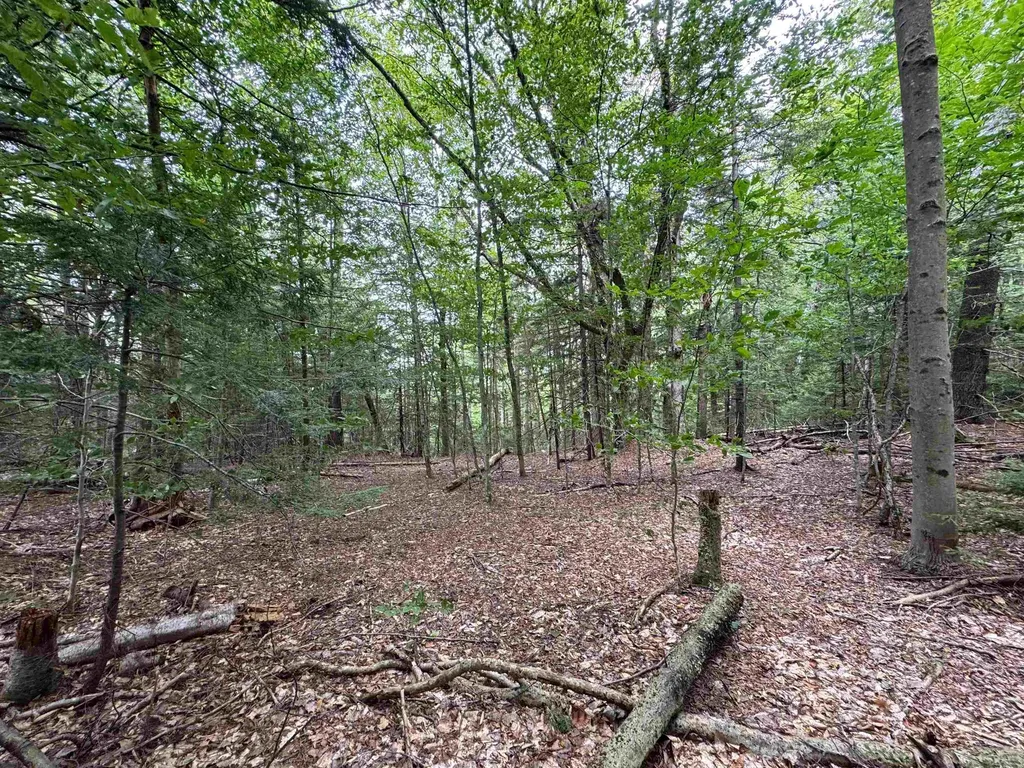 00 Lake Hill Road Whitingham VT 05361