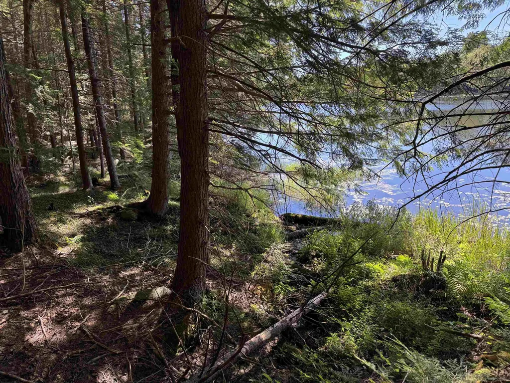 00 Lake Hill Road Whitingham VT 05361