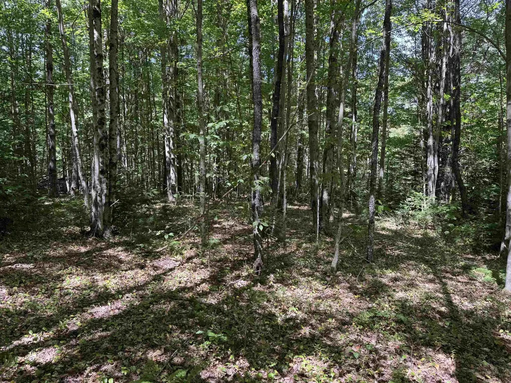 00 Lake Hill Road Whitingham VT 05361