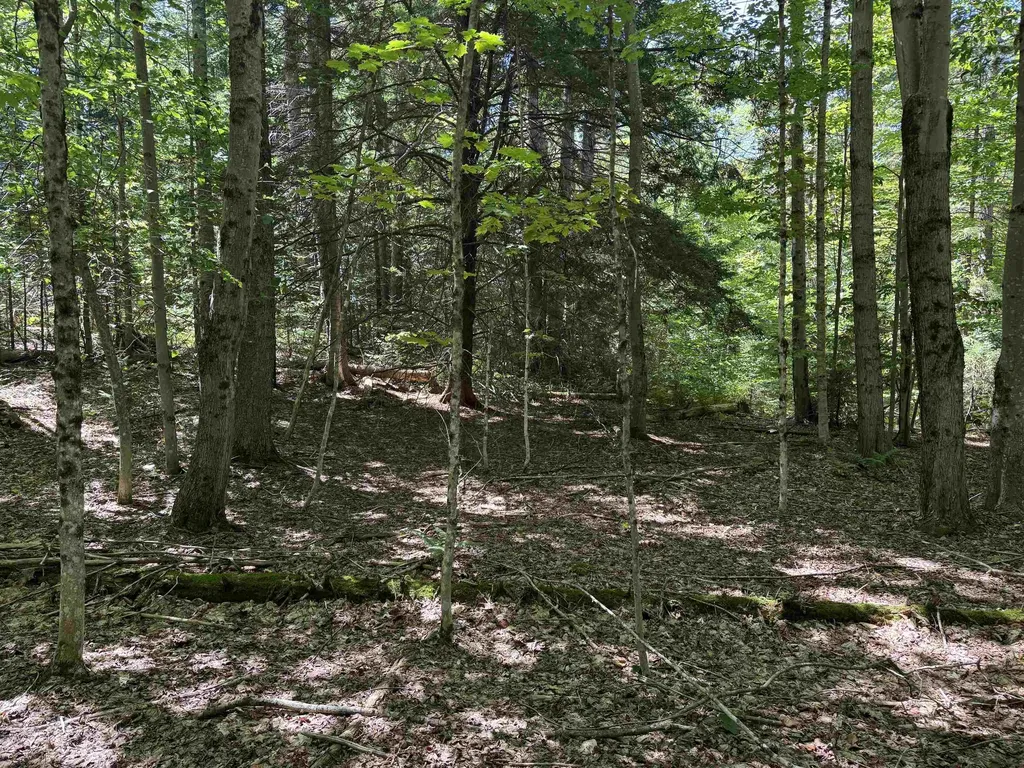 00 Lake Hill Road Whitingham VT 05361