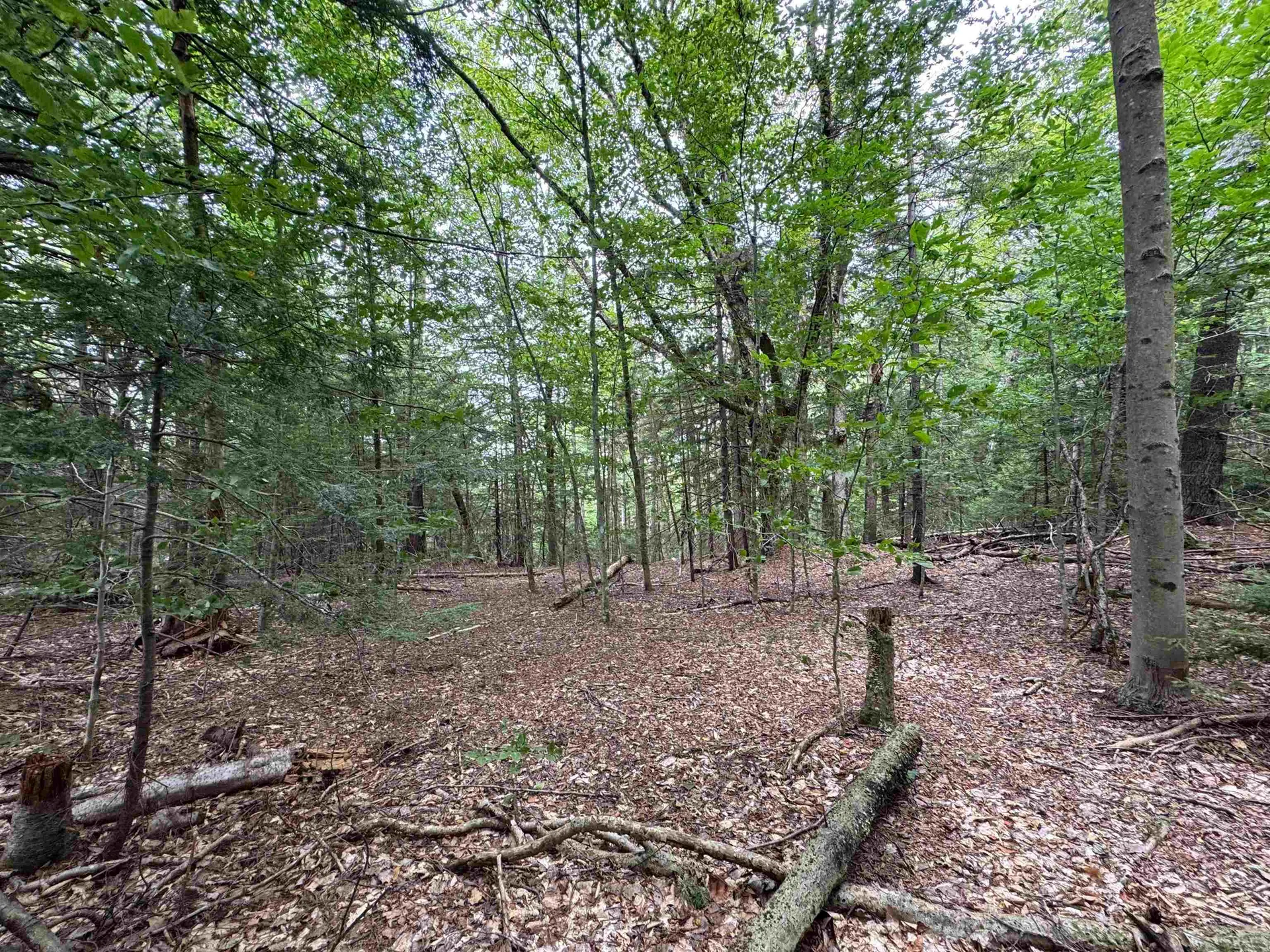 00 Lake Hill Road Whitingham VT 05361