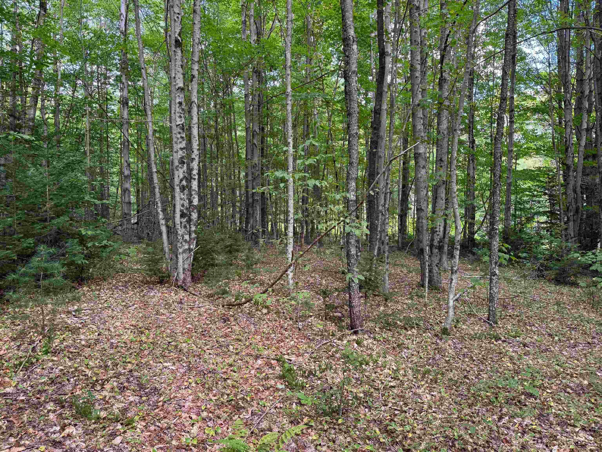 00 Lake Hill Road Whitingham VT 05361