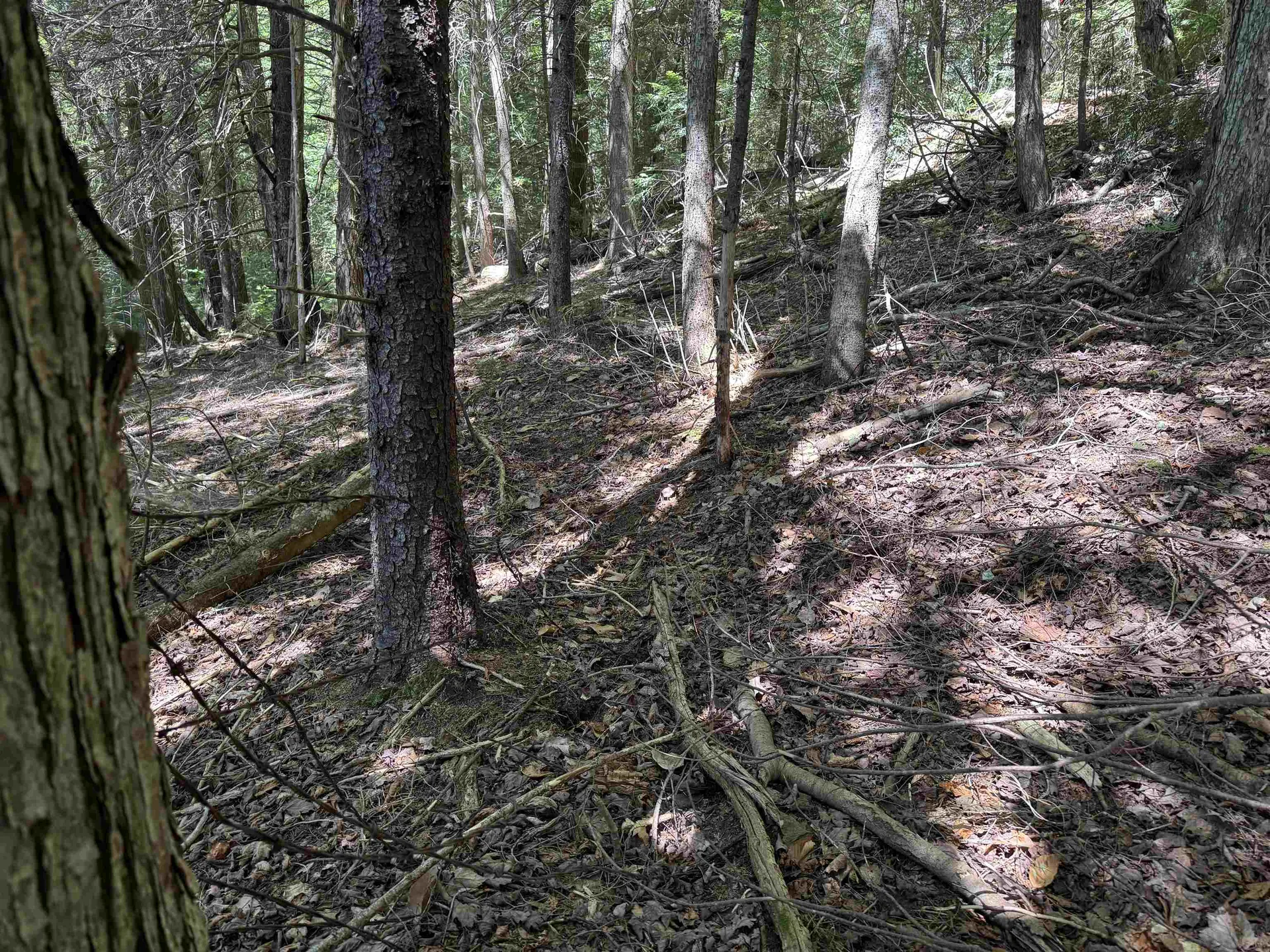 00 Lake Hill Road Whitingham VT 05361