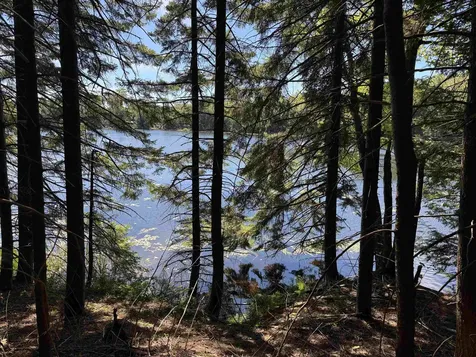 00 Lake Hill Road Whitingham VT 05361