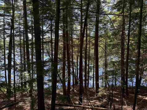 00 Lake Hill Road Whitingham VT 05361