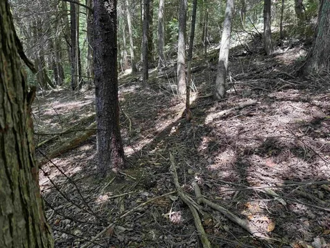 00 Lake Hill Road Whitingham VT 05361