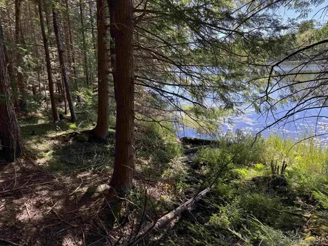 00 Lake Hill Road Whitingham VT 05361