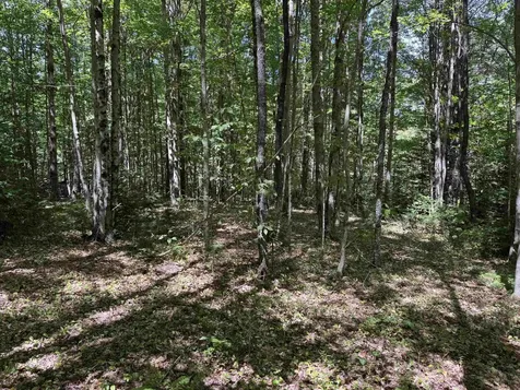 00 Lake Hill Road Whitingham VT 05361