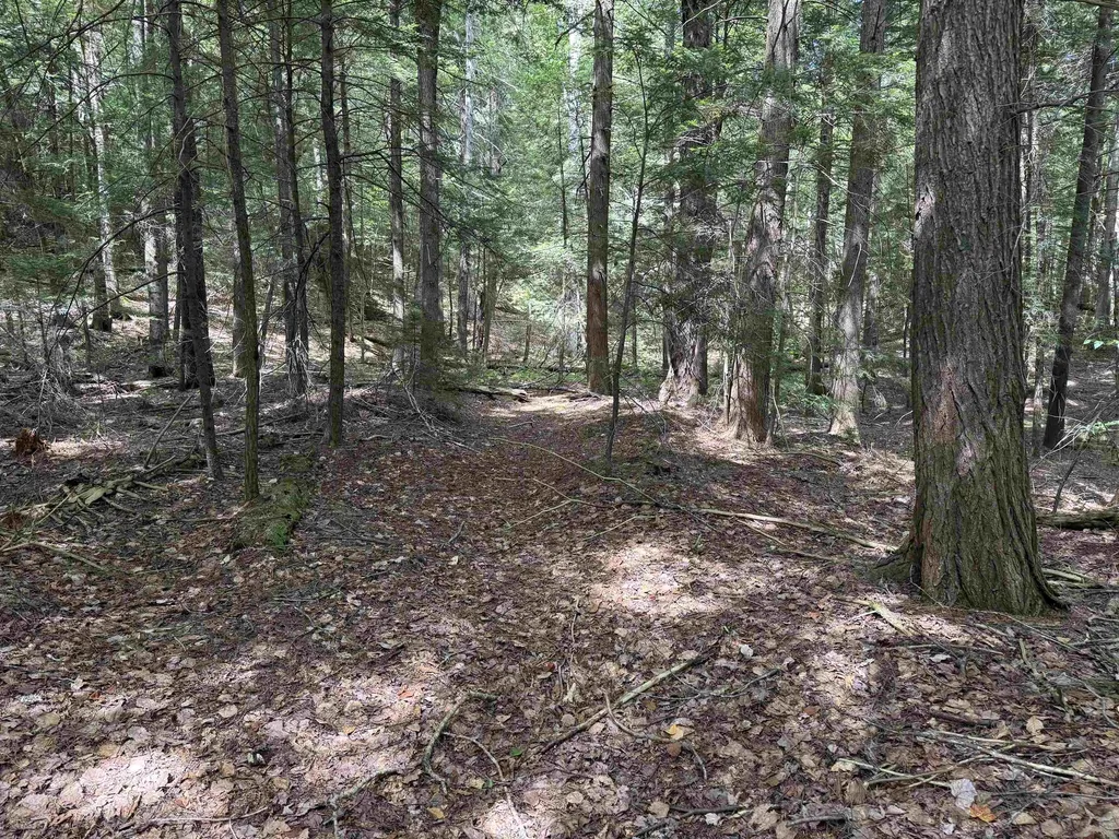 0 Lake Hill Road Whitingham VT 05361