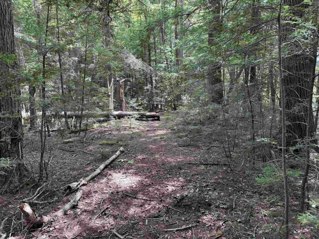 0 Lake Hill Road Whitingham VT 05361