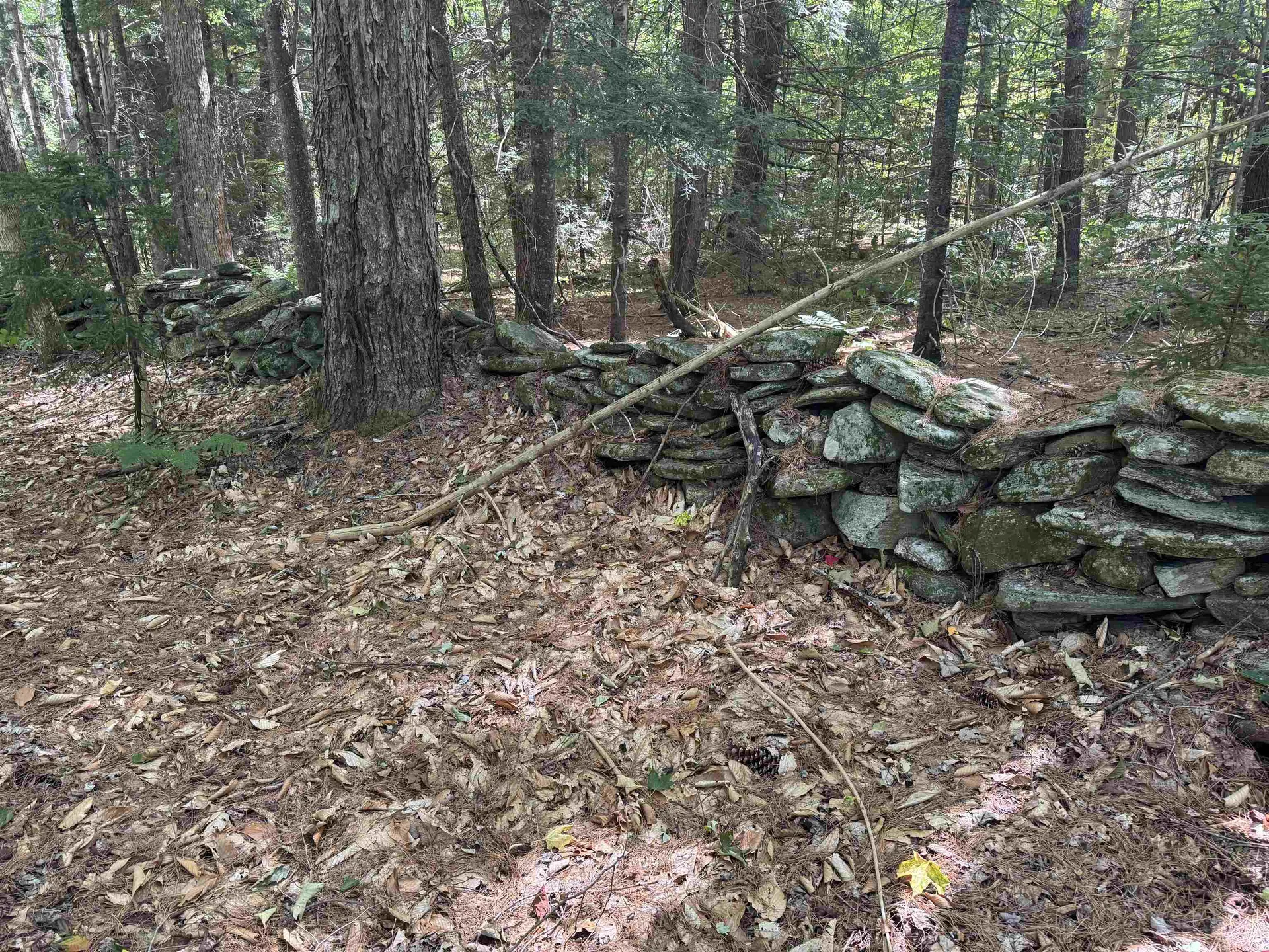 0 Lake Hill Road Whitingham VT 05361