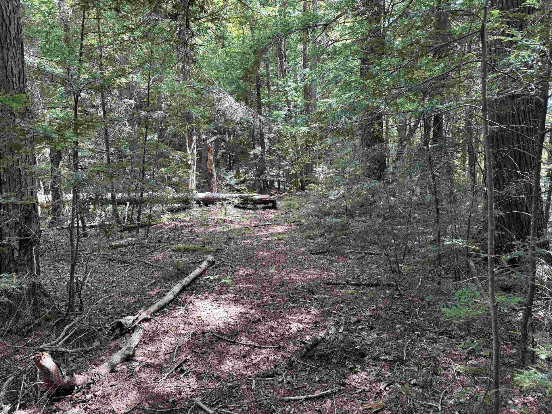 0 Lake Hill Road Whitingham VT 05361