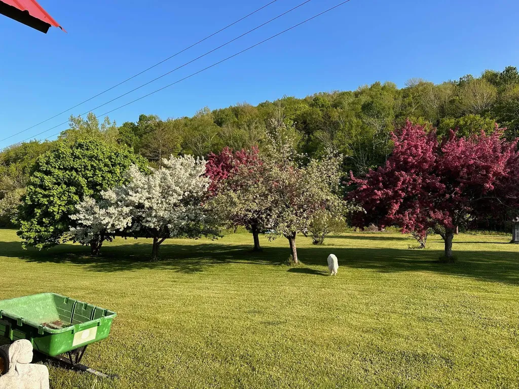 18 New England Power Road Wilmington VT 05363