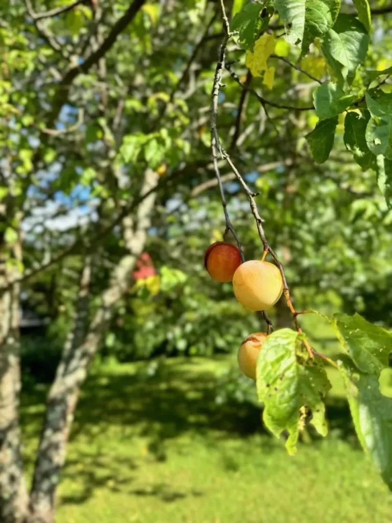 18 New England Power Road Wilmington VT 05363