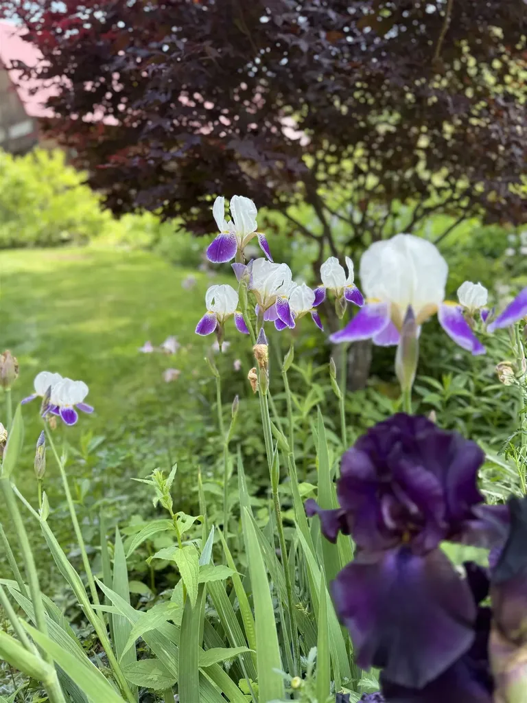 18 New England Power Road Wilmington VT 05363