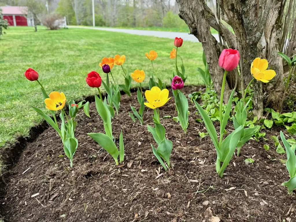 18 New England Power Road Wilmington VT 05363