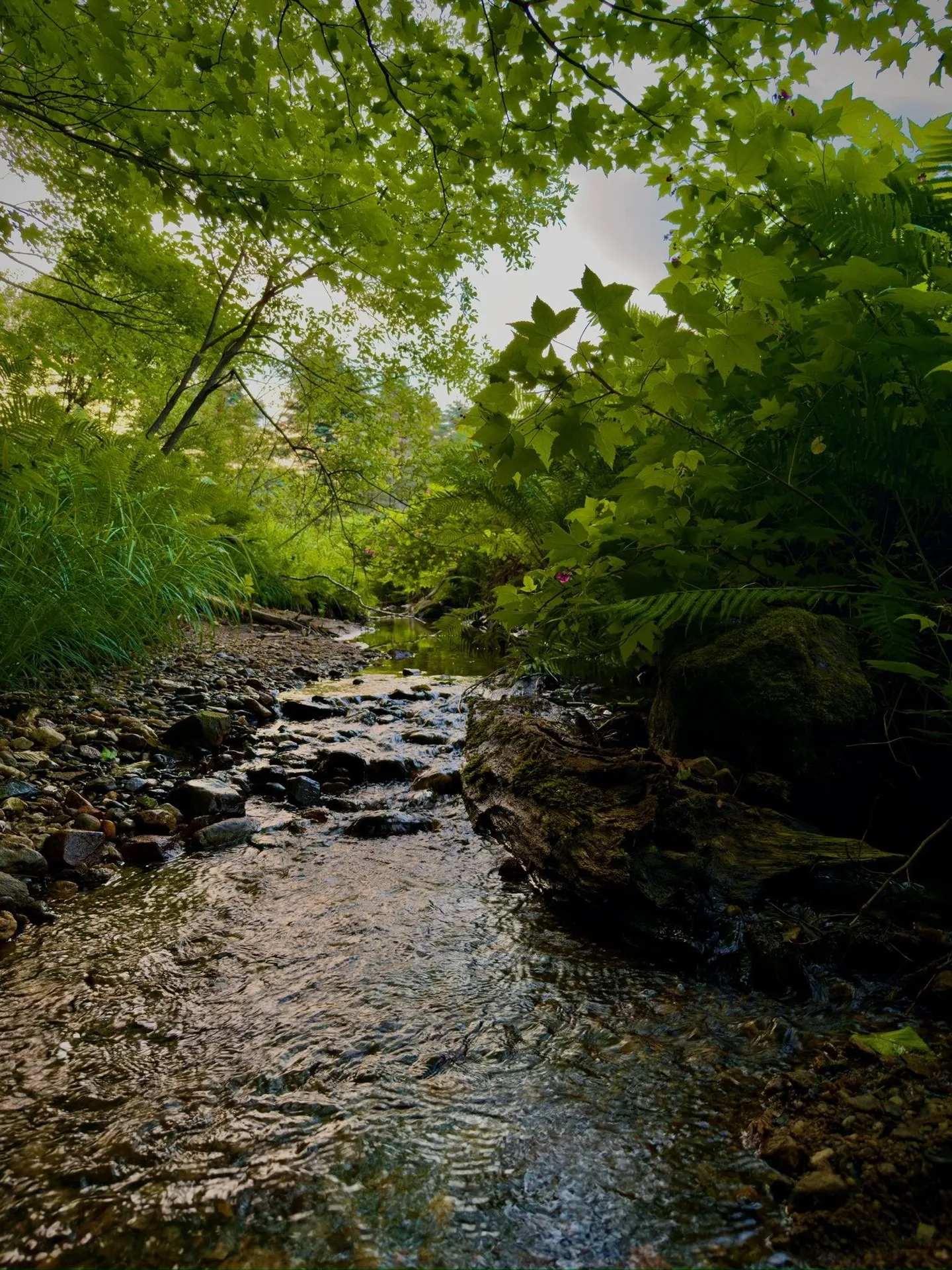 18 New England Power Road Wilmington VT 05363