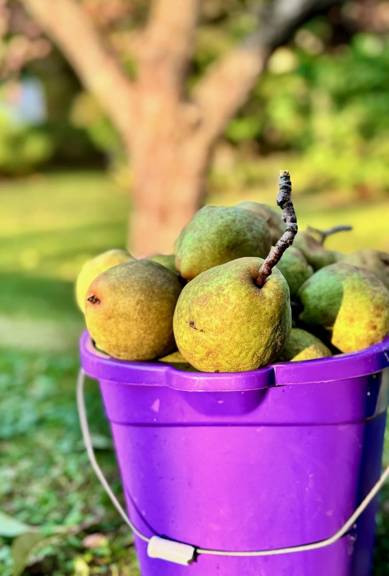 18 New England Power Road Wilmington VT 05363