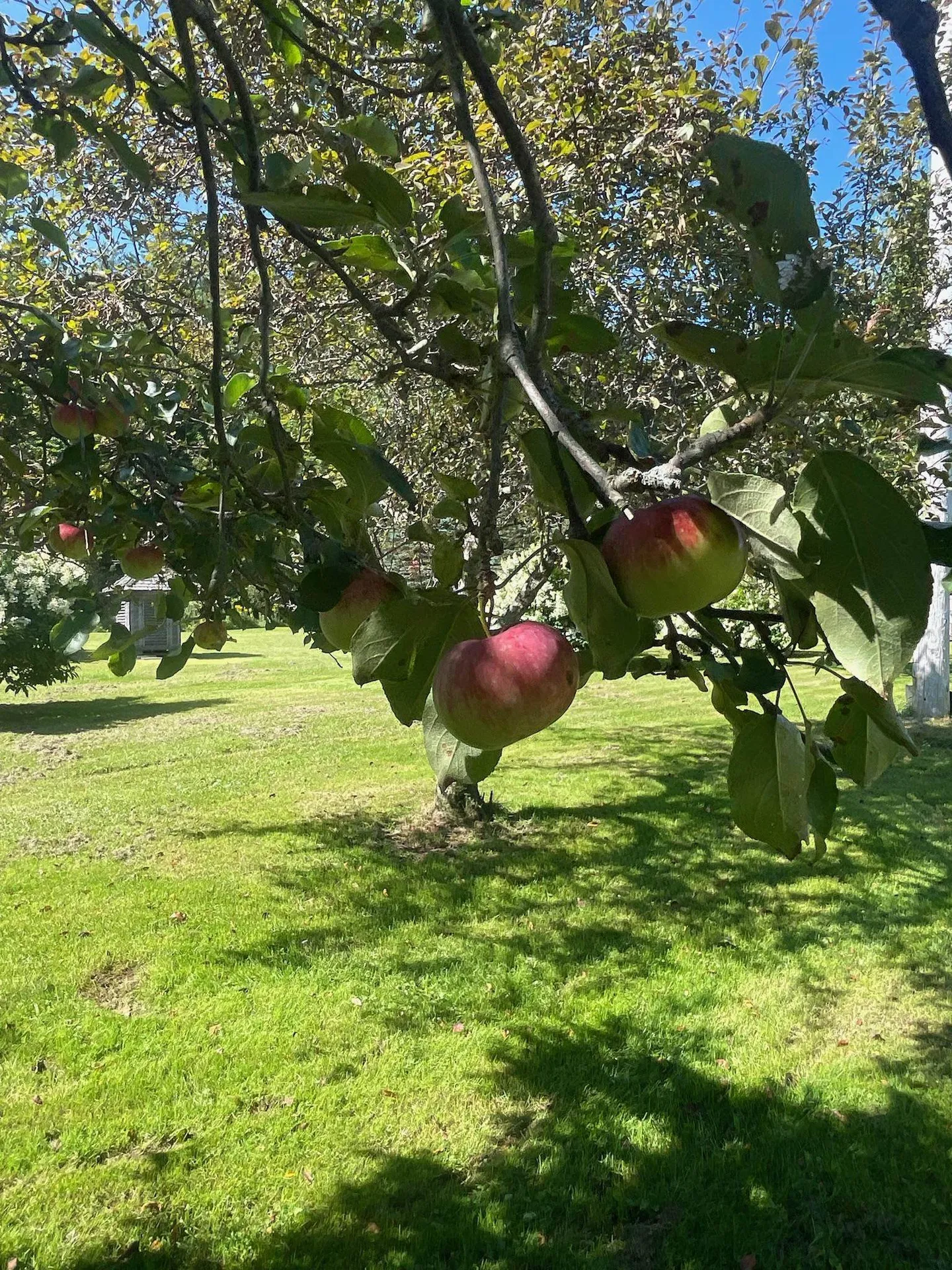 18 New England Power Road Wilmington VT 05363