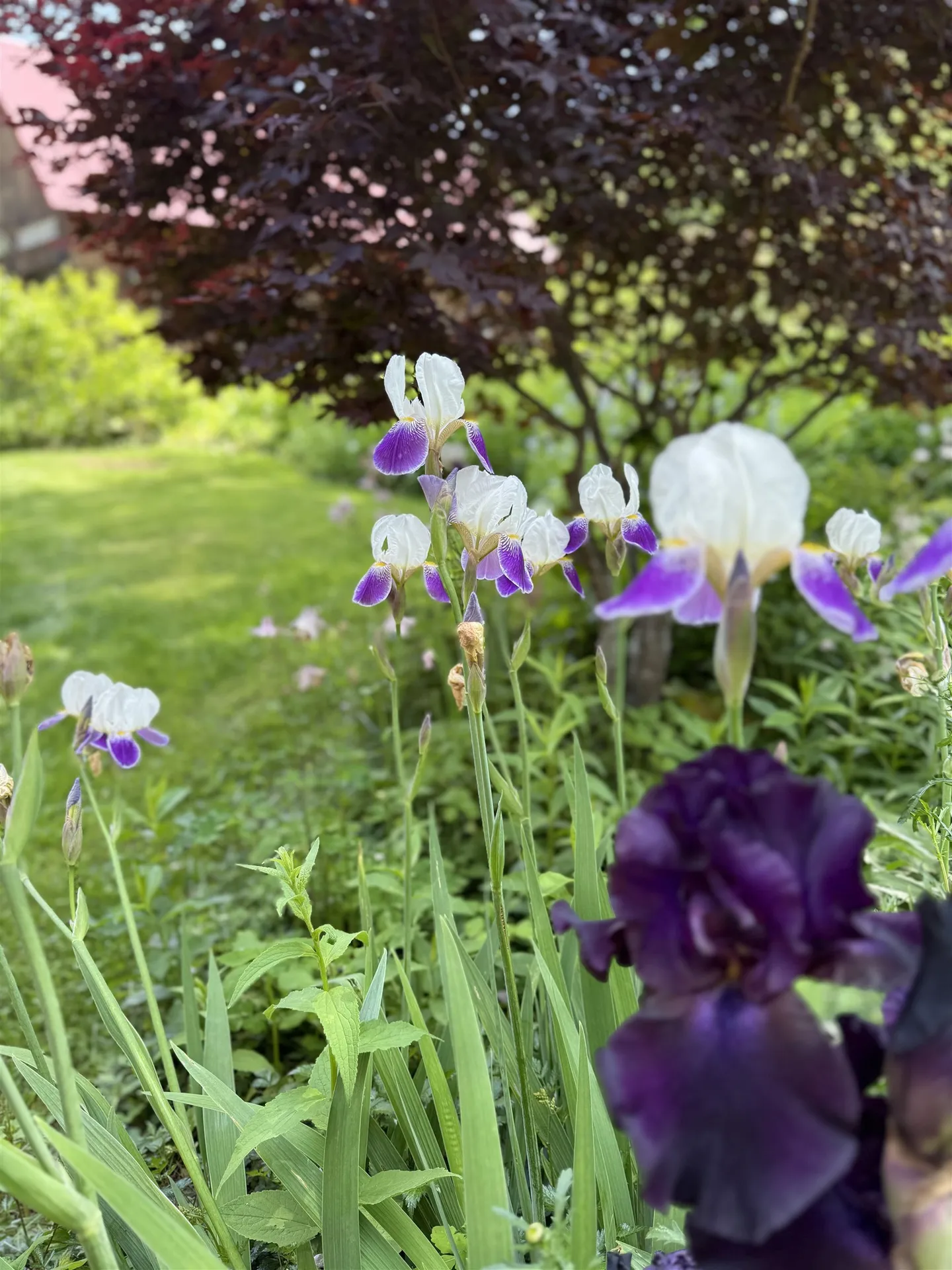 18 New England Power Road Wilmington VT 05363