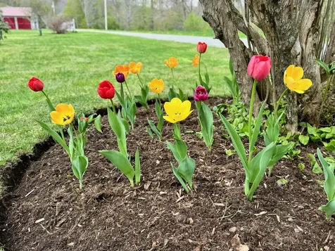 18 New England Power Road Wilmington VT 05363