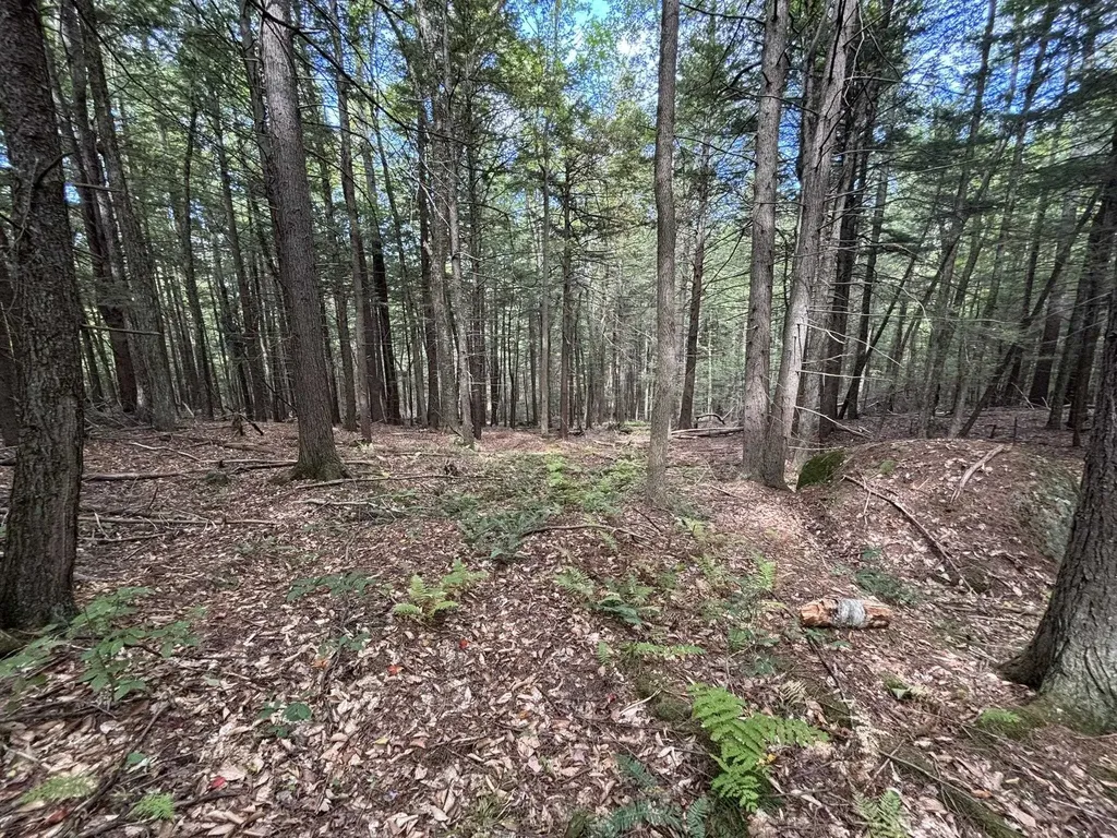 Off Wilder Farm Road Peterborough NH 03458