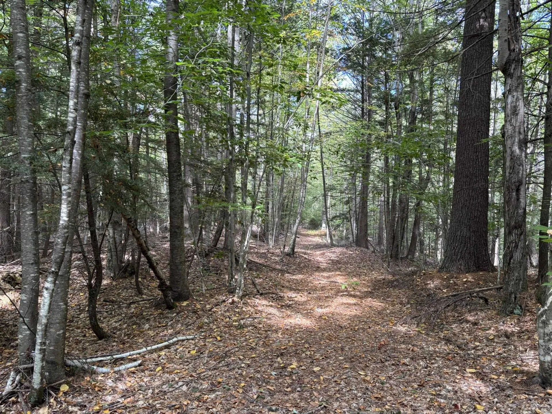 Off Wilder Farm Road Peterborough NH 03458