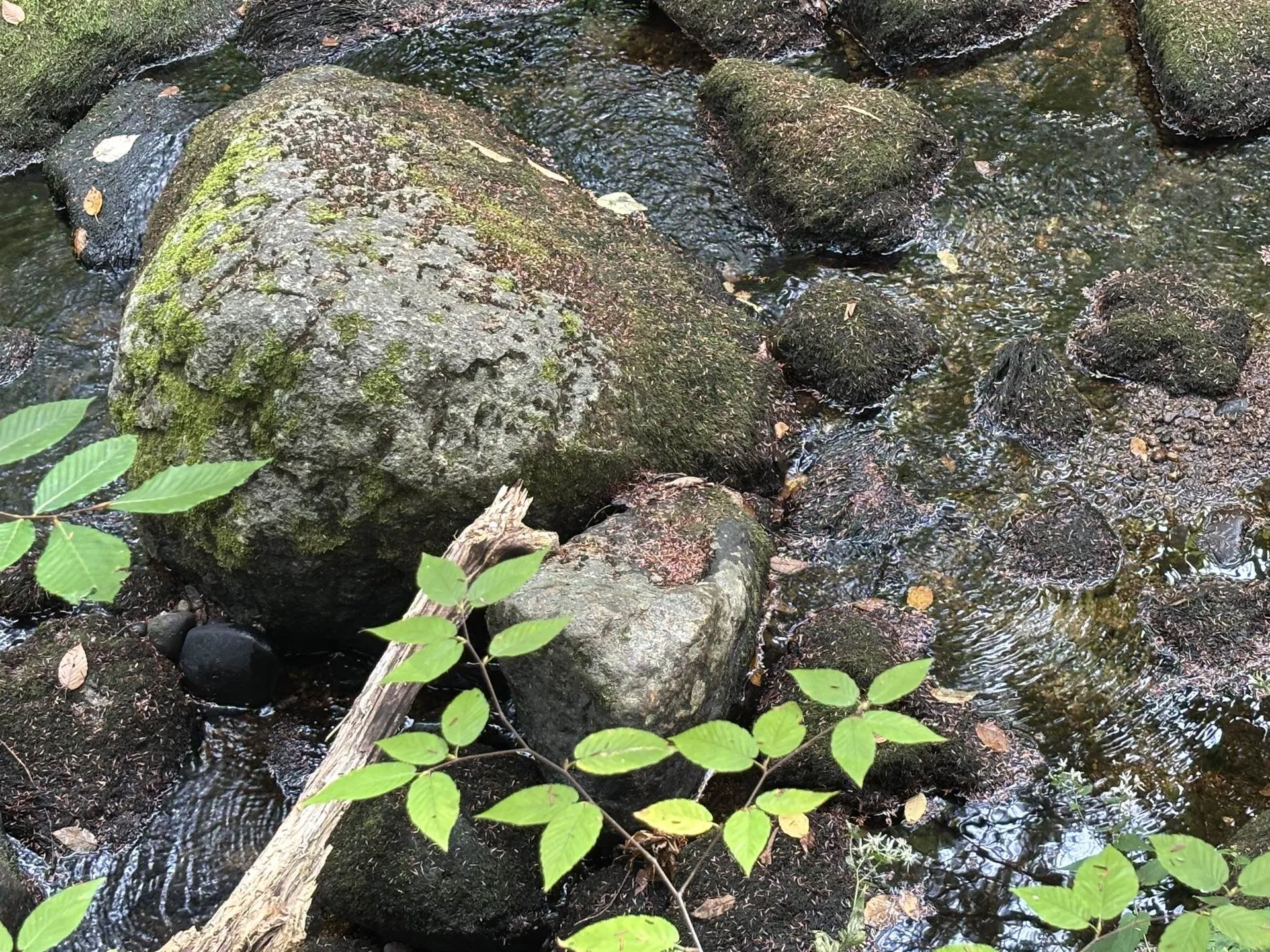 Off Wilder Farm Road Peterborough NH 03458