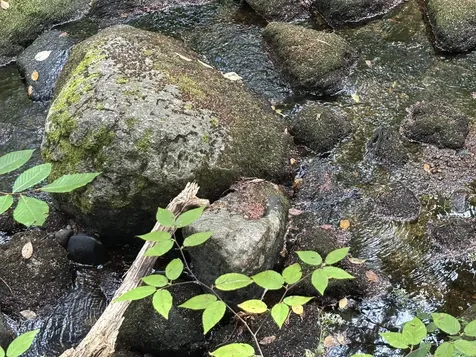 Off Wilder Farm Road Peterborough NH 03458