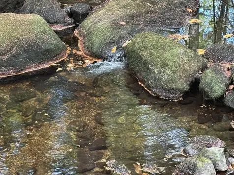 Off Wilder Farm Road Peterborough NH 03458