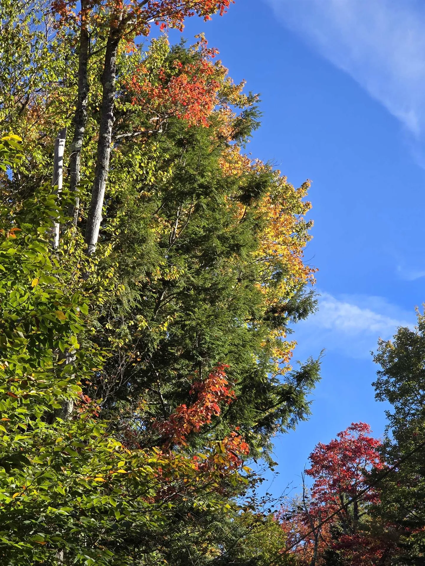 0 Klondike Road Stamford VT 05352
