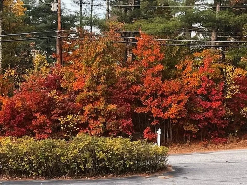 379 Brown Road Candia NH 03034