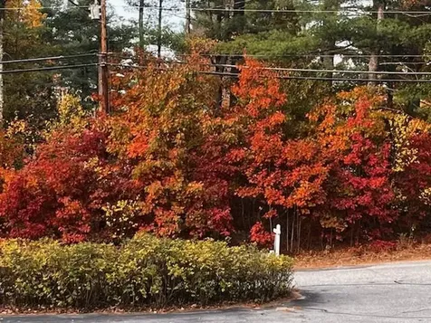 379 Brown Road Candia NH 03034