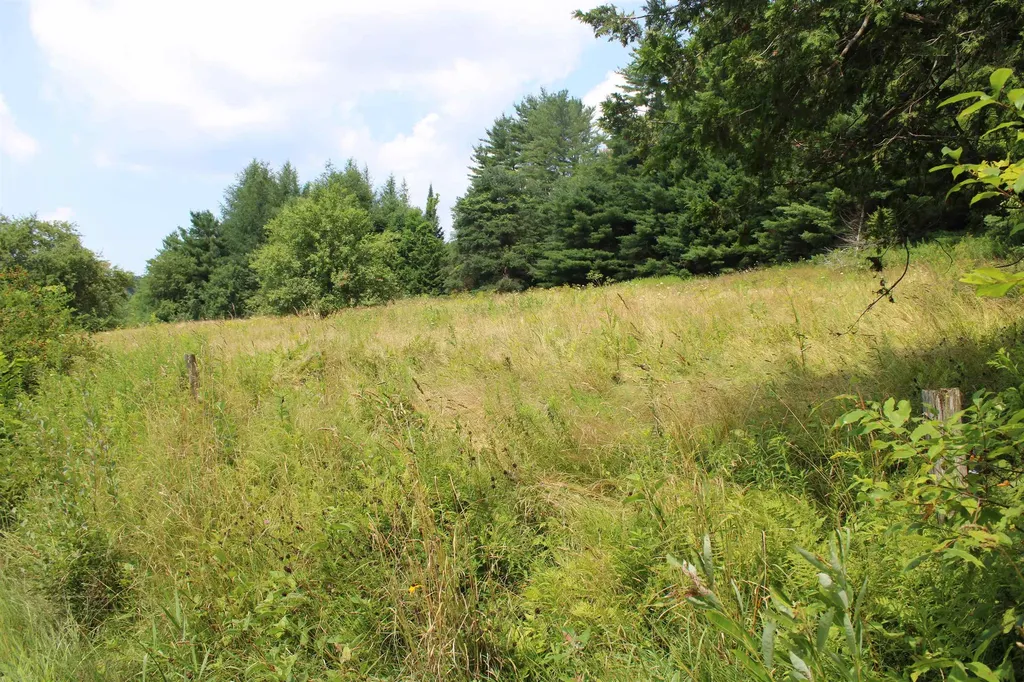 Ferguson Road Barnet VT 05821