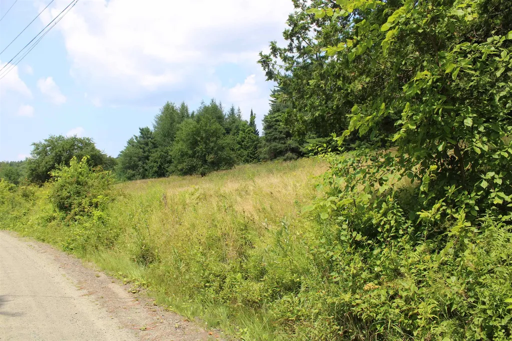 Ferguson Road Barnet VT 05821