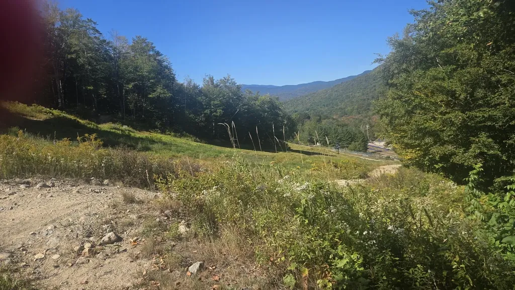 82 Ramshorn Drive Lincoln NH 03251