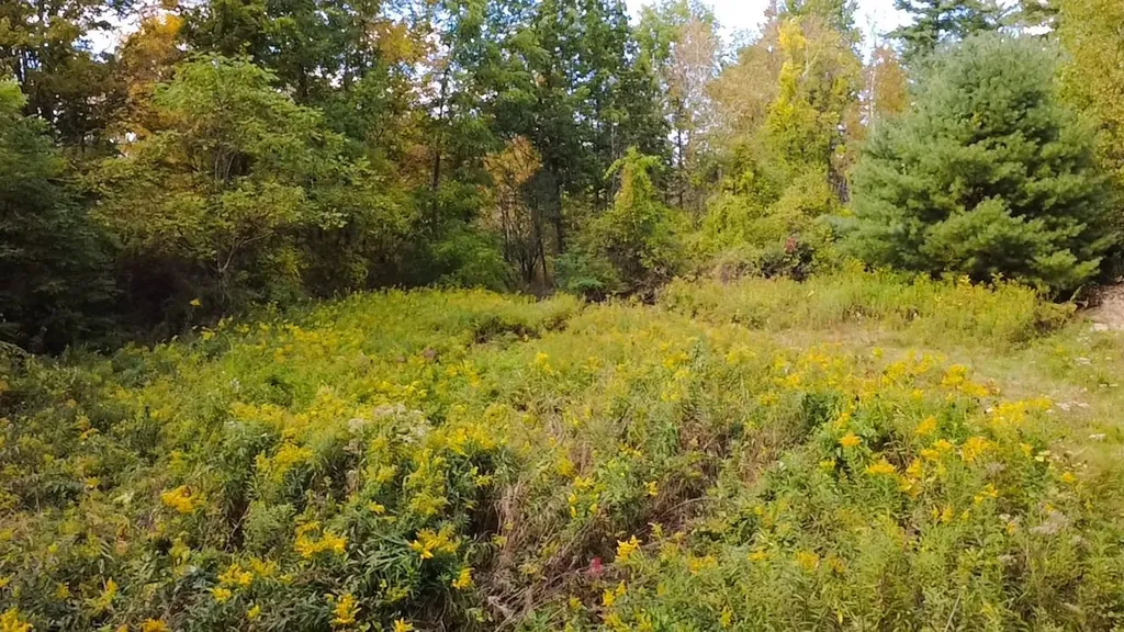 1319 Vail Road Bennington VT 05201