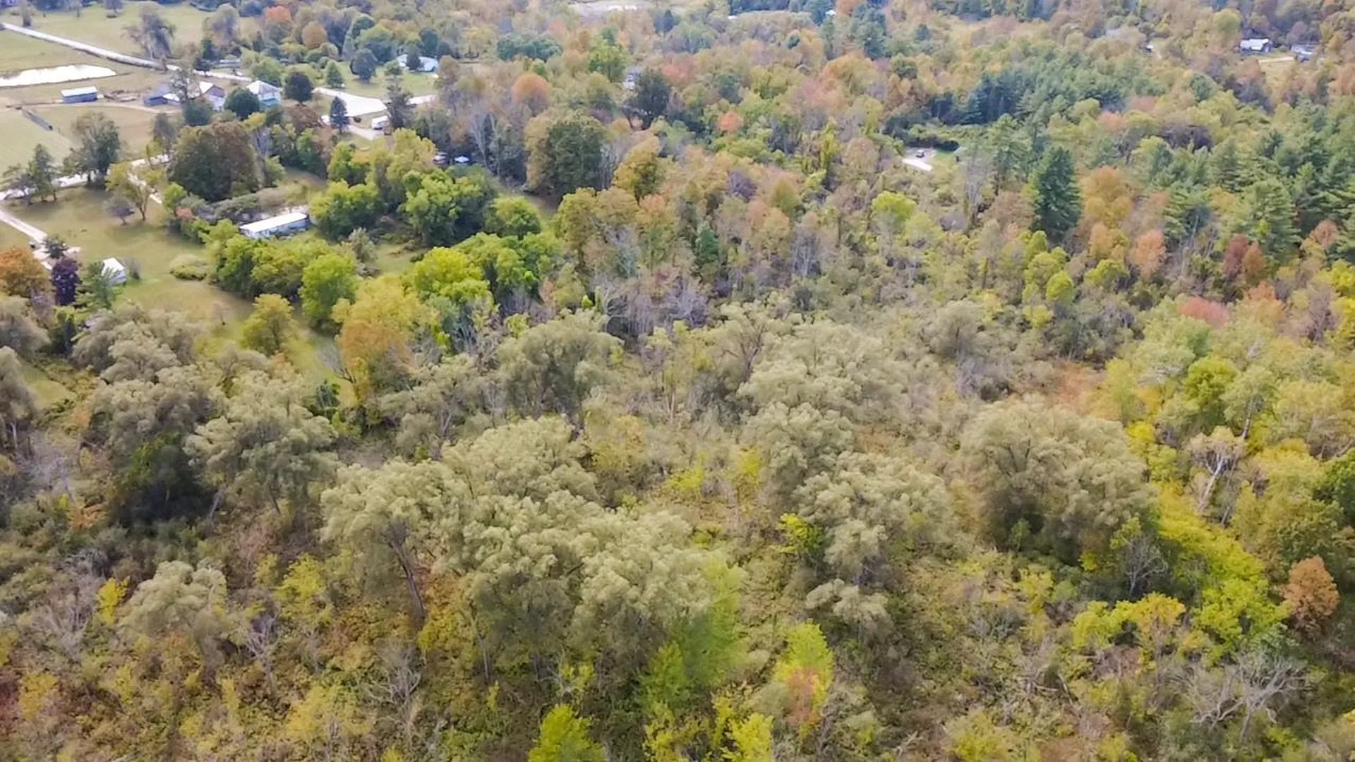 1319 Vail Road Bennington VT 05201