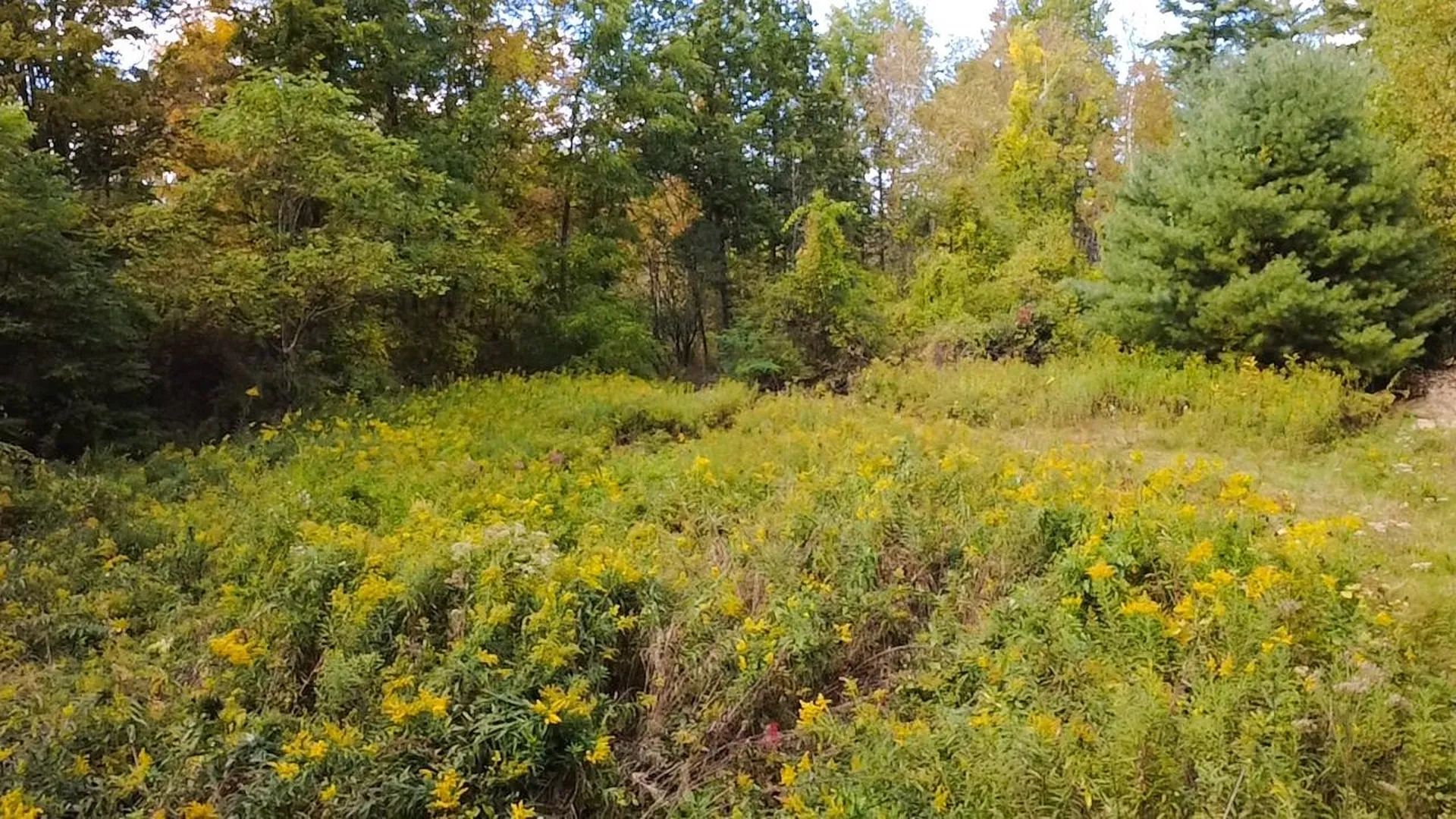 1319 Vail Road Bennington VT 05201