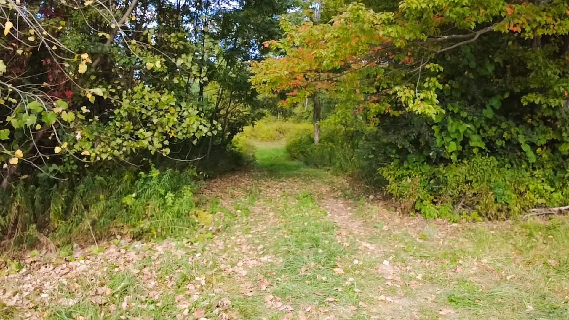 1319 Vail Road Bennington VT 05201