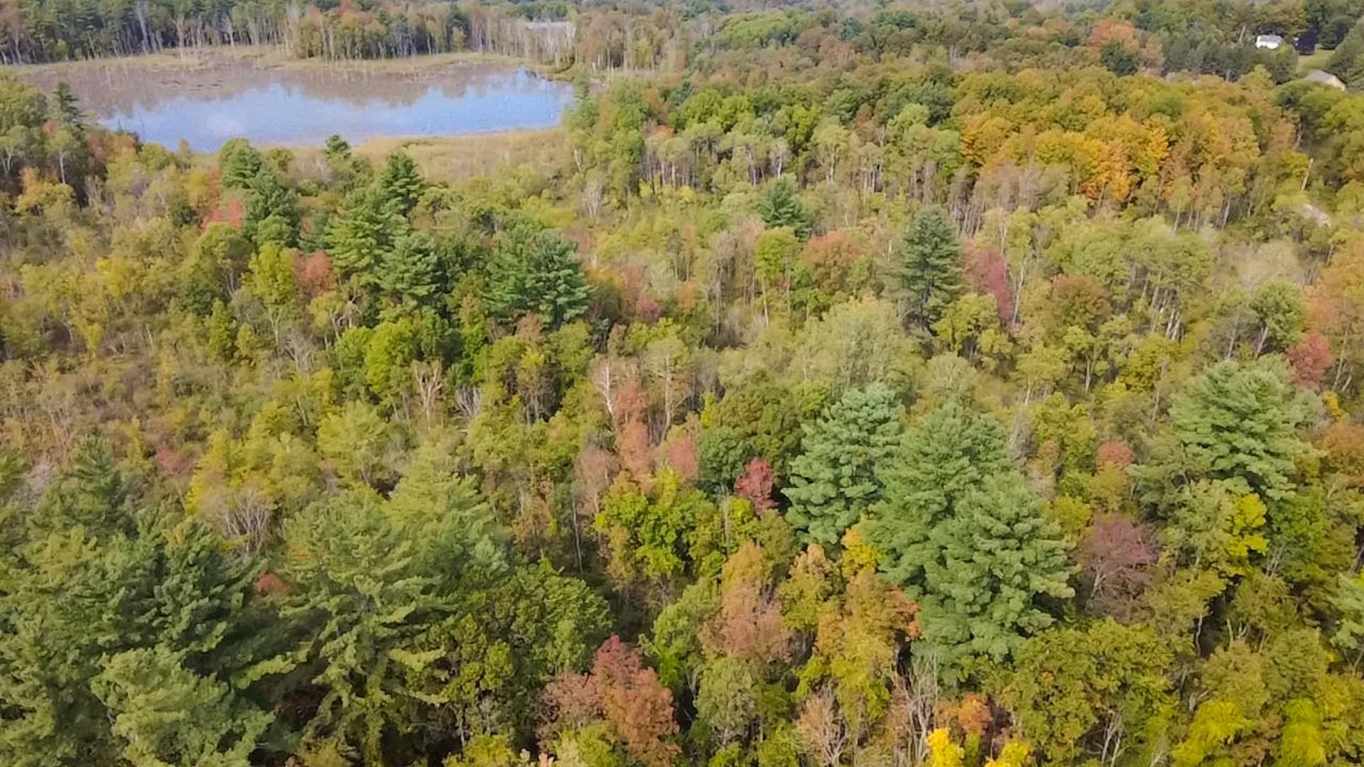 1319 Vail Road Bennington VT 05201